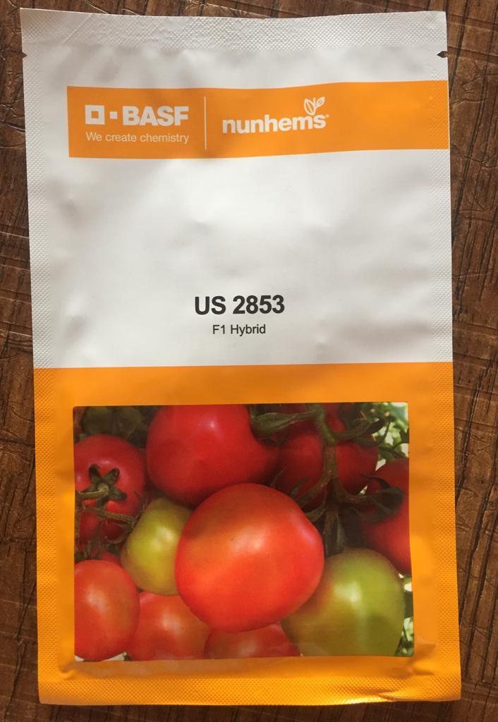 Tomato Seeds - Beefsteak (Determinate), Vegetable Seeds in Packets & Bulk