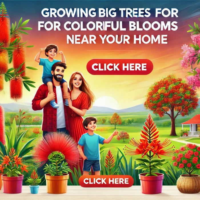 Growing Big Trees for Colorful Blooms Near Your Home