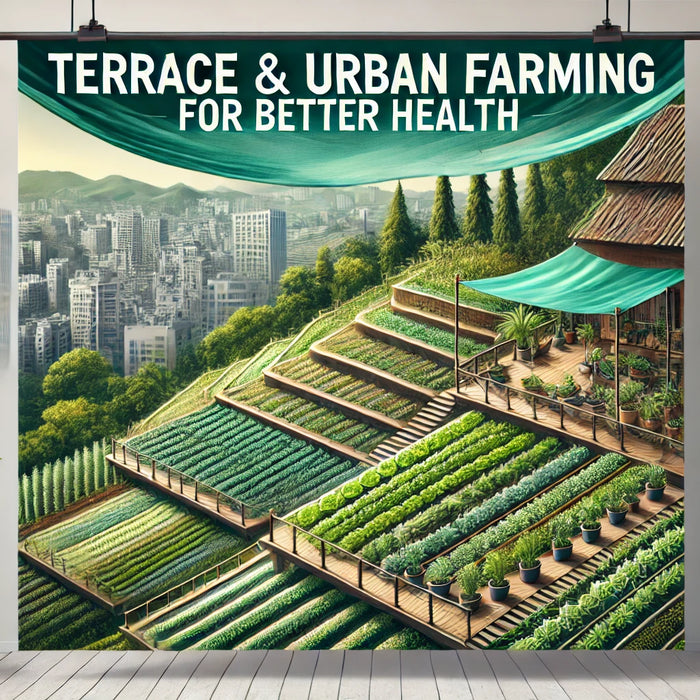 The Advantages of Terrace Farming: Embracing Urban Agriculture in Indian Communities