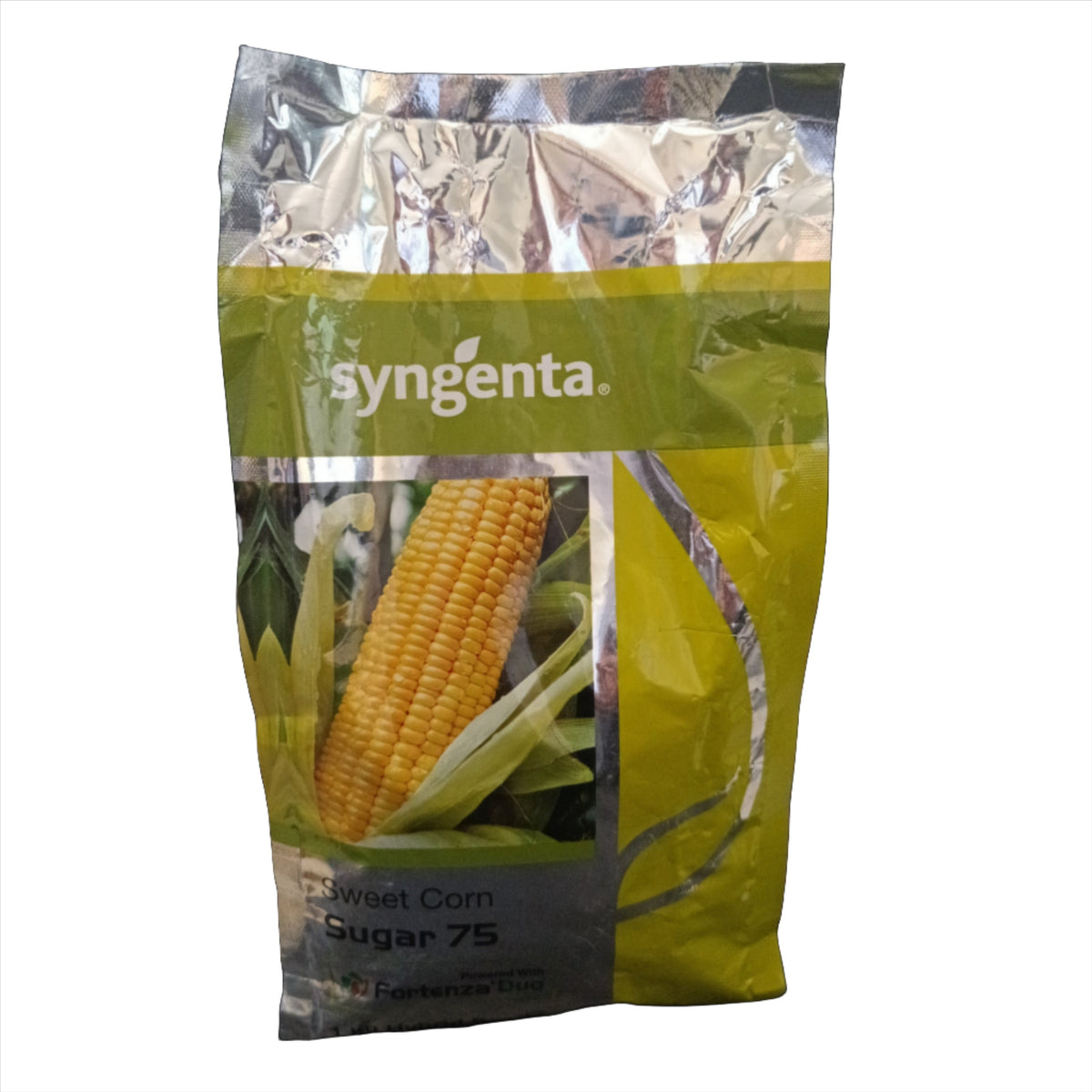 Syngenta Sugar 75 Sweet Corn Seeds — Farmers Stop