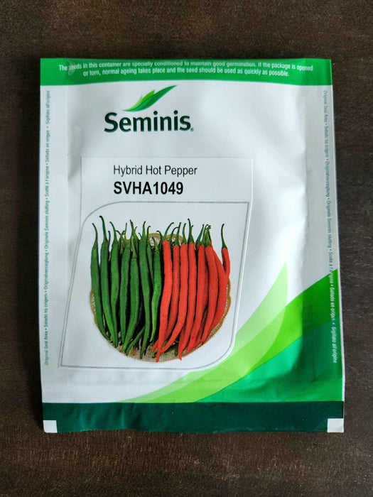 SVHA 1049 Hot pepper/हरी मिर्च  (Seminis) - Farmers Stop