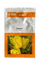 Swarna/स्वर्णा F1 Hybrid Yellow Capsicum (Nunhems) - Farmers Stop