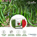 SVHA 1049 Hot pepper/हरी मिर्च  (Seminis) - Farmers Stop