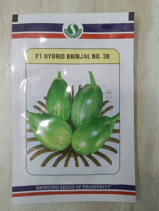 NO. 38 F1 HYBRID BRINJAL (SUNGRO SEEDS)