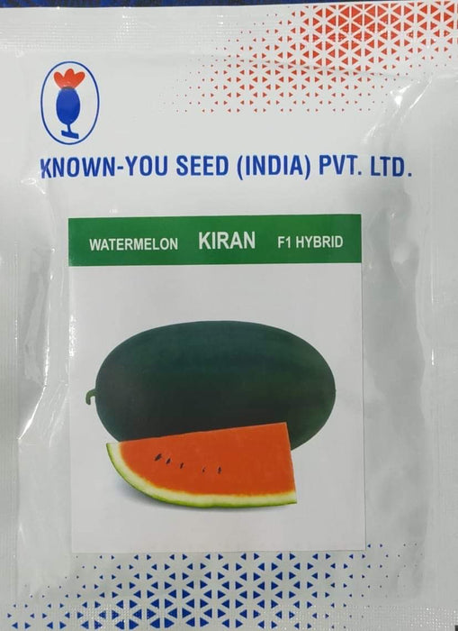 Kiran/किरण Hybrid Watermelon Ice Box Type-Red Flesh (Known You Seeds)