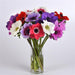 Anemone Mona Lisa® Mixture (PANAMERICAN)