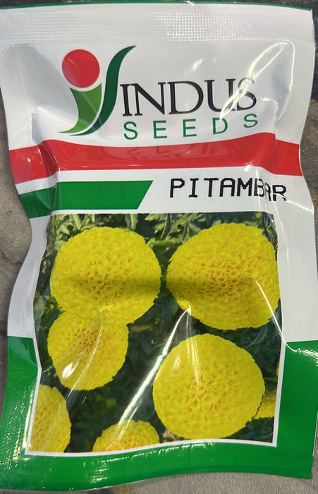 Pitambar Hybrid F1 Yellow Marigold (Indus Seeds)