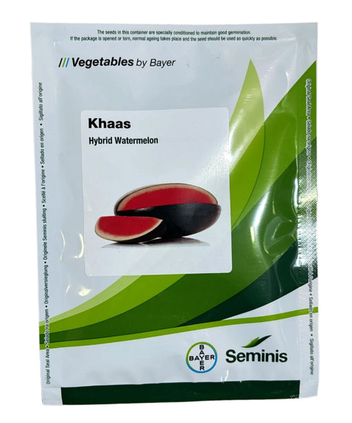 High-yield Khaas Hybrid Watermelon by Seminis with blackish-green rind, deep red crispy flesh, and oval elongated shape, perfect for commercial farming and home gardening.