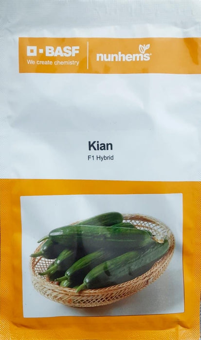 Kian/किआन F1 Parthenocarpic Cucumber Seeds (Nunhems)