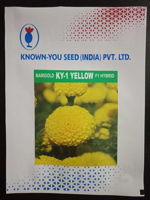 KY-1 YELLOW Hybrid F1 Yellow Marigold (KNOWN YOU SEEDS)