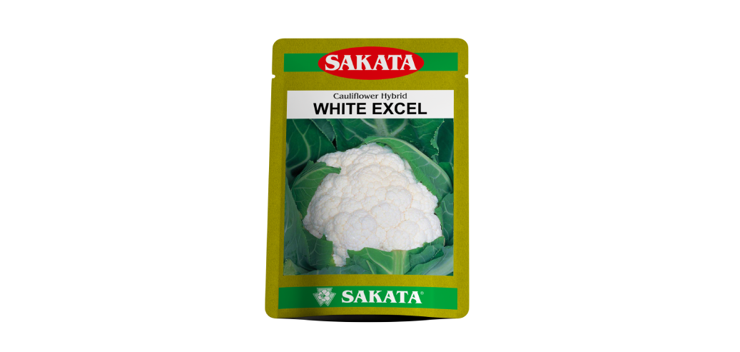 White Excel F1 Hybrid Cauliflower (Sakata Seeds)