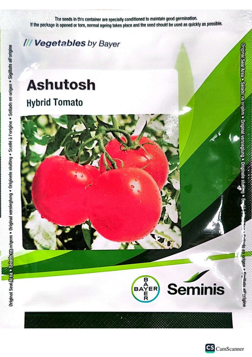 Ashutosh Heat Tolerant Summer F1 Hybrid Tomato Seeds (Seminis)