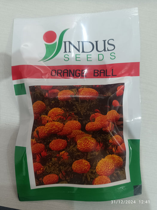 Orange Ball Hybrid F1 Marigold (Indus Seeds)