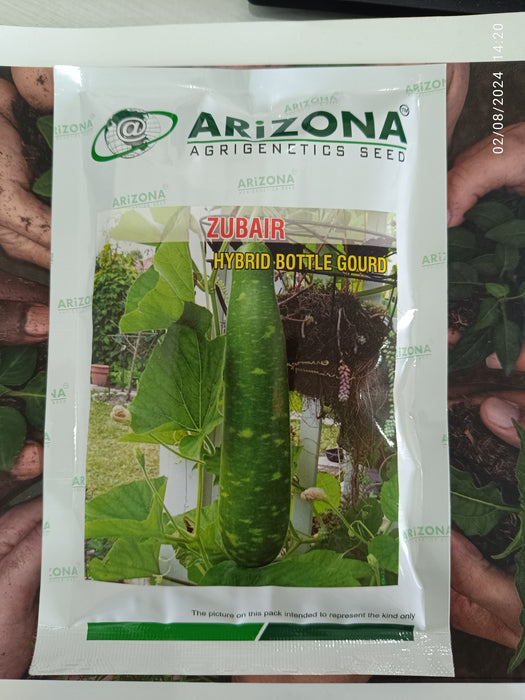 Zubair F1 Hybrid Dotted Bottlegourd (Arizona AgriGenetics Seed)