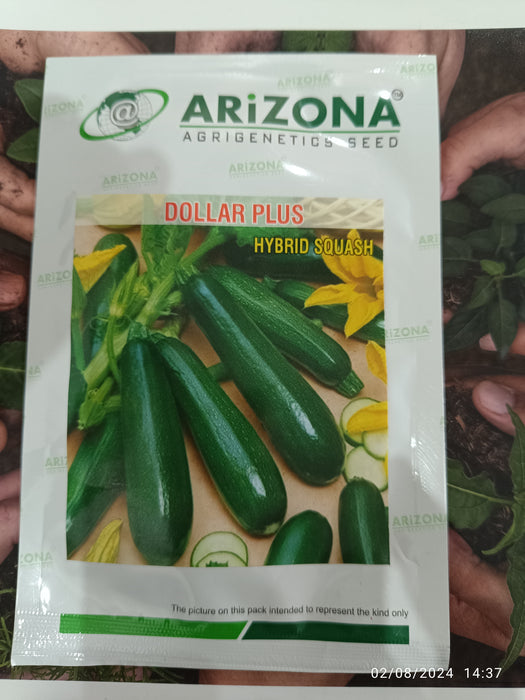 Dollar Plus F1 Hybrid Zuchini Squash (Arizona AgriGenetics Seed)