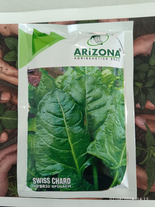 Swiss Chard F1 Hybrid Spinach for Long Time Harvest (Arizona AgriGenetics Seed)