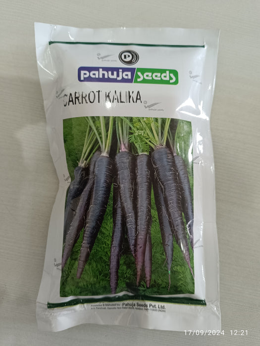 Carrot Black Kalika (Pahuja Seeds)