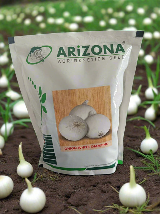 Onion White Diamond (Arizona AgriGenetics Seed)