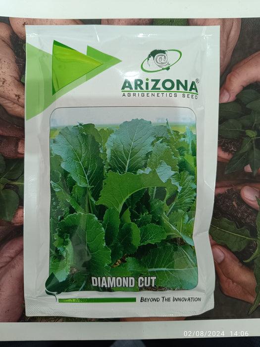 Diamond Cut Sarso Mustard for Saag (Arizona AgriGenetics Seed)