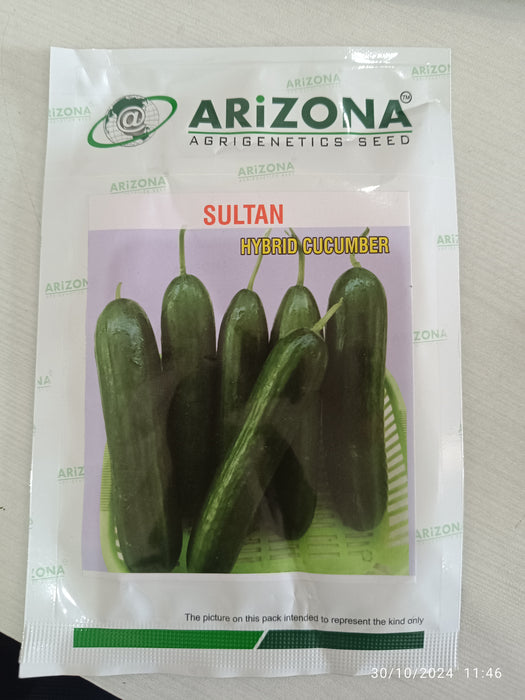 Sultan F1 Hybrid Parthenocarpic Cucumber (Arizona AgriGenetics Seed)