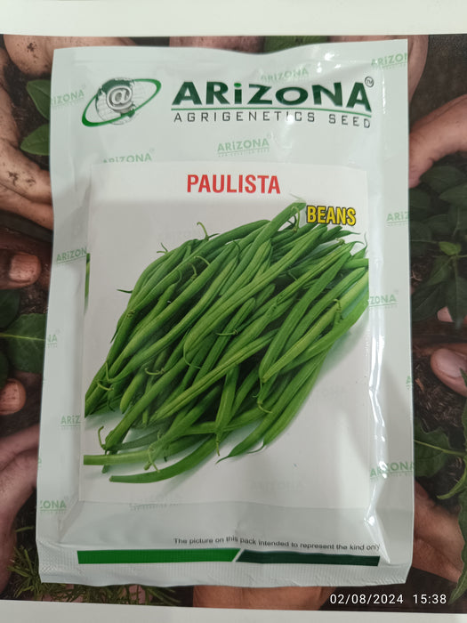 Paulista French Beans (Arizona AgriGenetics Seed)