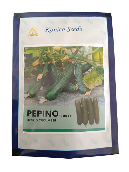 PEPINO Plus F1 HYBRID CUCUMBER Multi-Fruting (KONICO SEEDS)