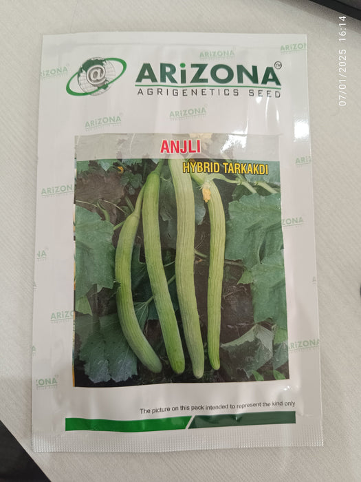 Anjali F1 Hybrid Tarkakdi (Arizona AgriGenetics Seed)