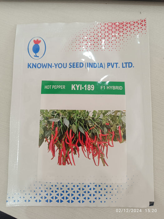 KYI-189 F1 Hybrid Hot pepper (Known You Seeds)