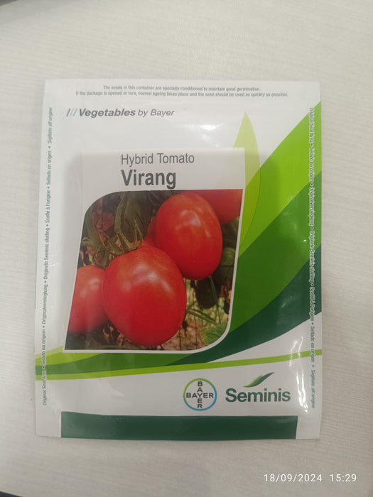 Virang F1 Hybrid Tomato Seeds (Seminis)