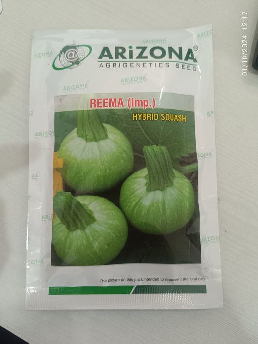 Reema (Imported) F1 Hybrid Squash (Arizona AgriGenetics Seed)