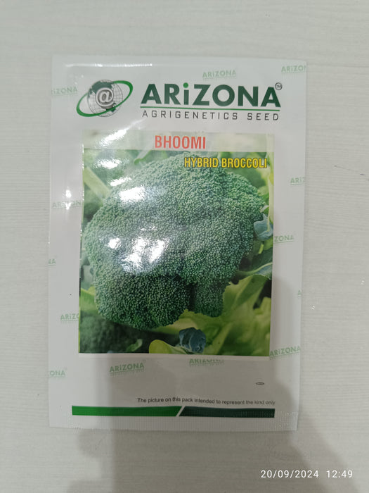 Bhoomi F1 Hybrid Broccoli (Arizona AgriGenetics Seed)