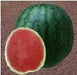 NS 252 Watermelon (Namdhari) - Farmers Stop