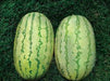 NS 295 Watermelon (Namdhari) - Farmers Stop