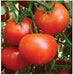 US 1196/यूएस ११९६ Tomato (US Agri Seeds) - Farmers Stop