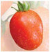 US 1080/यूएस १०८० Tomato (US Agri Seeds) - Farmers Stop
