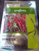 HPH-5531 F1 Hybrid Hot pepper Chilli (Syngenta) - Farmers Stop