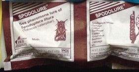 Pheromone Lures (PCI) - Farmers Stop