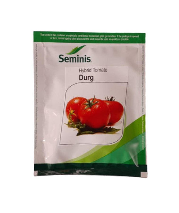 Durg F1 Hybrid Tomato (Seminis) - Farmers Stop