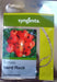 Hard Rock F1 Hybrid Tomato (Syngenta) - Farmers Stop