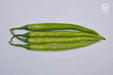 VNR-145 F1 Hybrid Chilli (VNR Seeds) - Farmers Stop