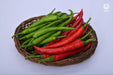 VNR 277 F1 Hybrid Chilli (VNR Seed's) - Farmers Stop