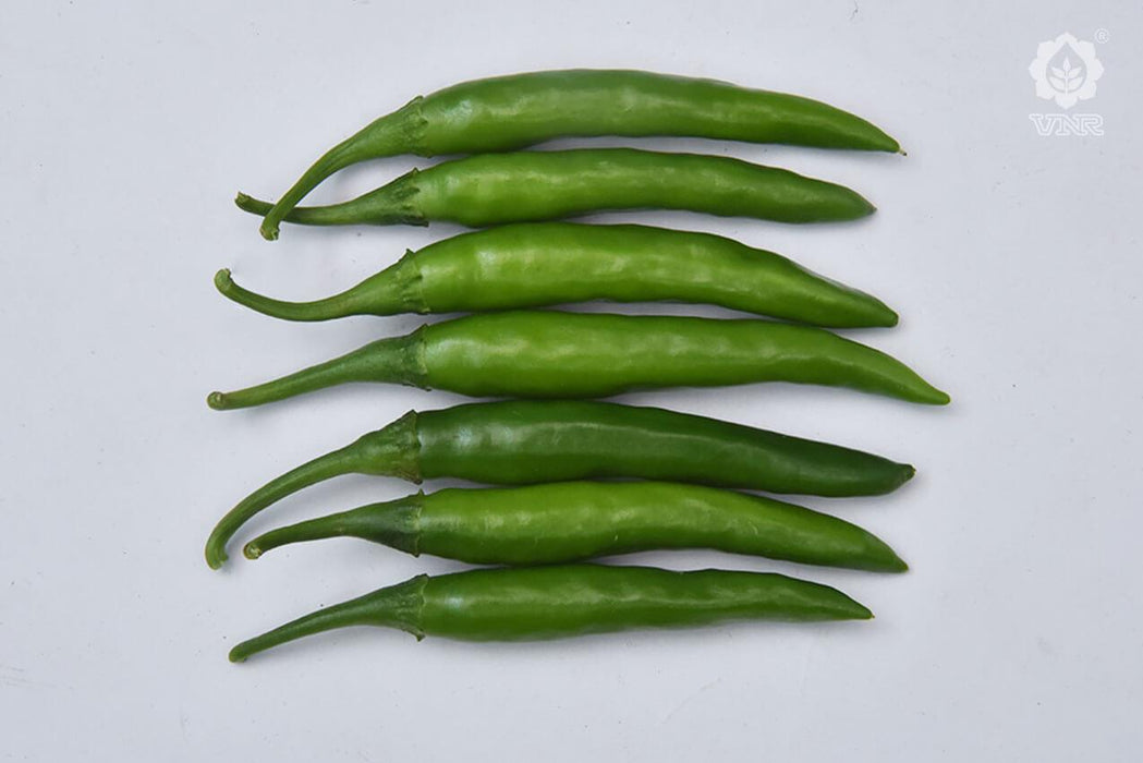 VNR 305 F1 Hybrid Chilli (VNR Seed's) - Farmers Stop