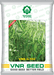 VNR G-592 F1 Hybrid Chilli (VNR Seed's) - Farmers Stop