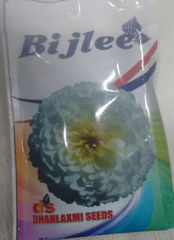 Beejli/बिजली  Flower Seeds (Dhanlakshmi Seeds) - Farmers Stop