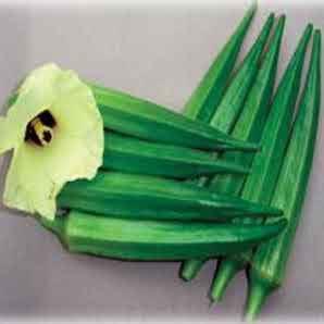 NS 862 Okra ( Namdhari Seeds) - Farmers Stop