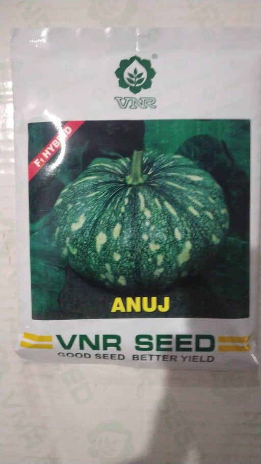 Anuj F1 Hybrid Pumpkin (VNR seeds) - Farmers Stop
