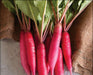 Red Long Radish Improved Quality - Farmers Stop