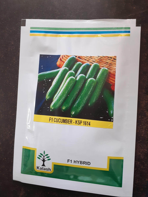 KSP -1614, Seedless Cucumber (Kalash seeds) - Farmers Stop