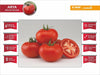 Arya/आर्या F1 Hybris Tomato (BASF | Nunhems) - Farmers Stop