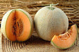 Patasha F1 Hybrid Muskmelon (Kalash Seeds) - Farmers Stop